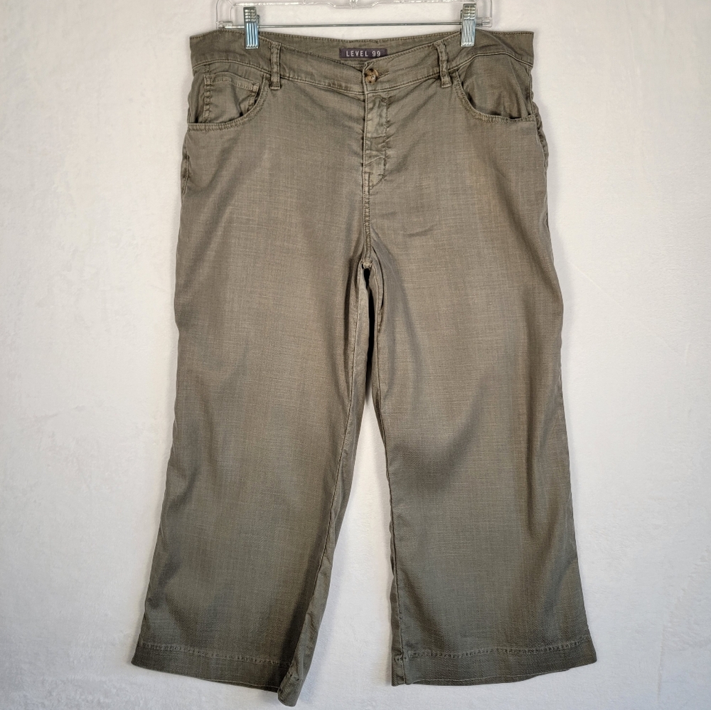 Level 99 Annabelle Crop Pant in Olive, Size 32